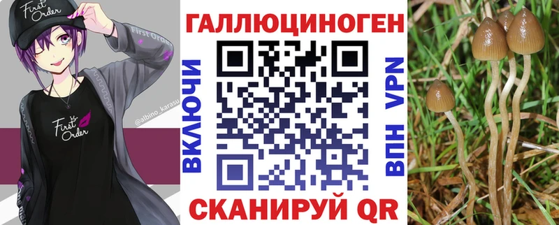 Галлюциногенные грибы Cubensis  где продают   Коммунар 